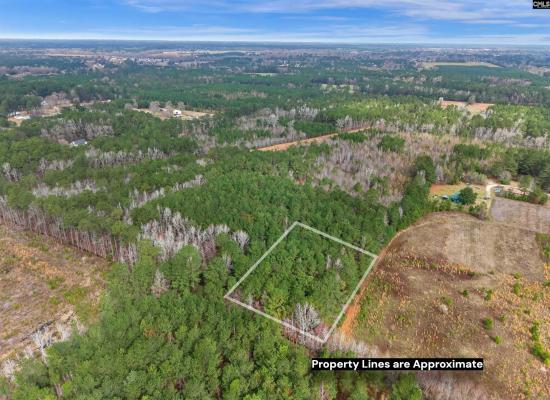 3305 Bumm Drive, 628316, Timmonsville, Vacant Land / Lot,  for sale, Real Estate Associates